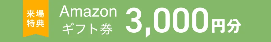 Amazon ギフト券 3000円分
