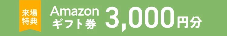 Amazon ギフト券 3000円分